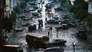 Day After Disaster's poster