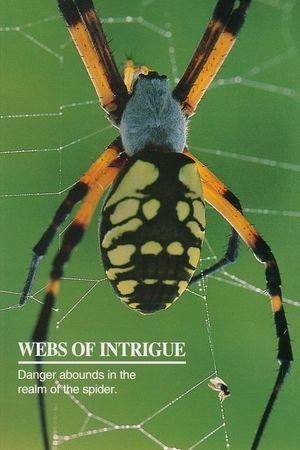 Webs of Intrigue's poster