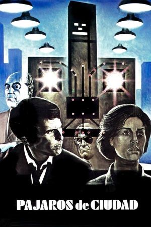 Pájaros de ciudad's poster