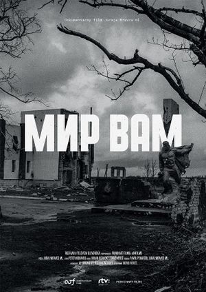 Mir Vam's poster