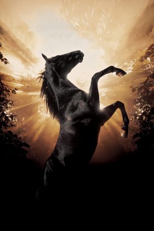 Black Beauty's poster