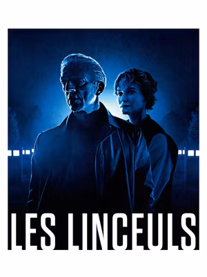 The Shrouds's poster
