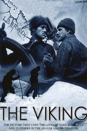 The Viking's poster