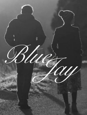 Blue Jay's poster