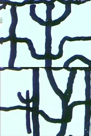 Animación dibujada's poster