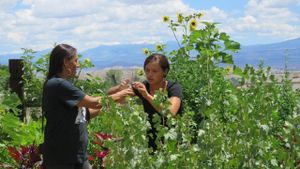 Return: Native American Women Reclaim Foodways for Health & Spirit's poster