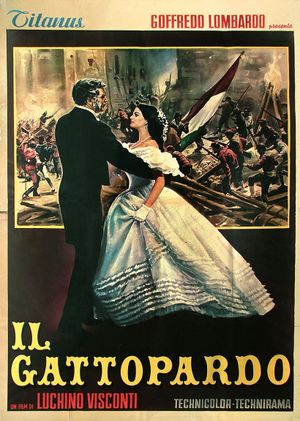 The Leopard's poster