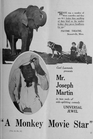 A Monkey Movie Star's poster