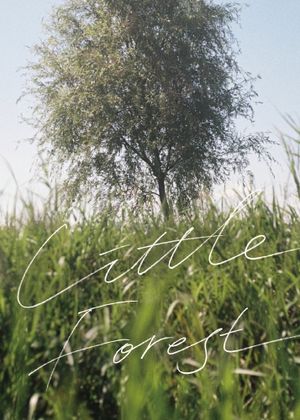 Little Forest's poster
