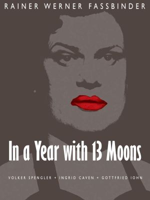 In a Year with 13 Moons's poster