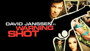 Warning Shot's poster