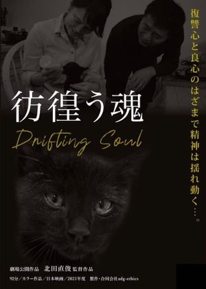 Drifting Soul's poster