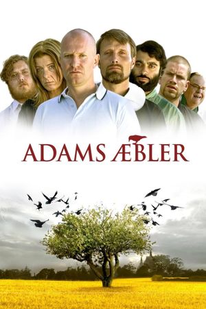 Adam's Apples's poster