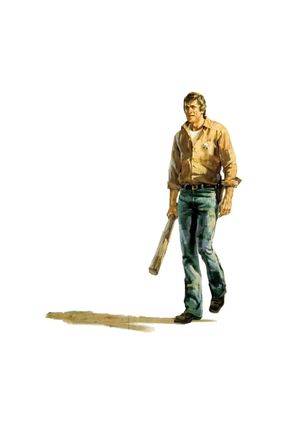 Final Chapter: Walking Tall's poster