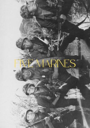 Five Marines's poster