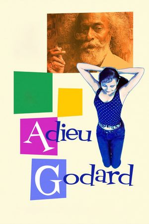 Adieu Godard's poster