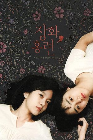 A Tale of Two Sisters's poster