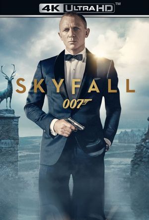Skyfall's poster