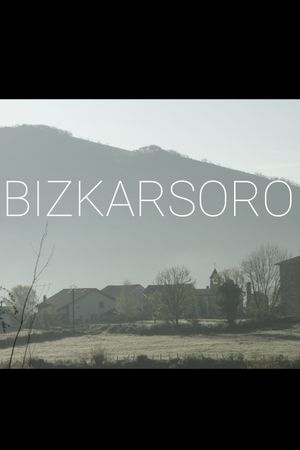 Bizkarsoro's poster