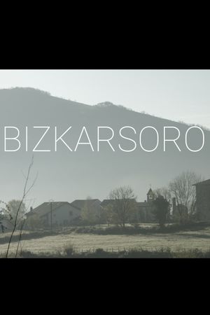 Bizkarsoro's poster image