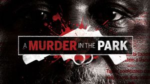 A Murder in the Park's poster