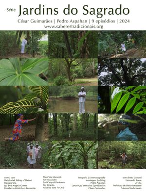 A Ecologia dos Orixás's poster