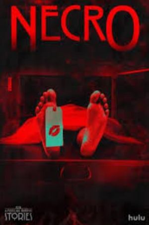 American Horror Stories: Necro's poster image