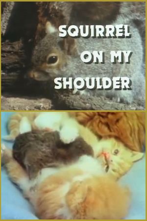 Squirrel On My Shoulder's poster
