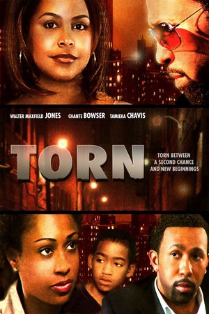 Torn's poster