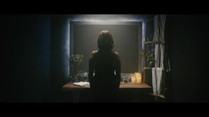 The Inverted Woman's poster