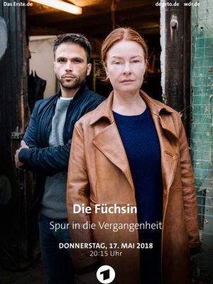 Die Füchsin - Spur in die Vergangenheit's poster