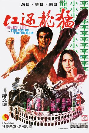 The Way of the Dragon's poster