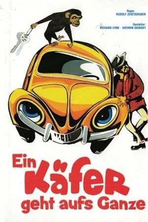 The Love Bug Rally's poster