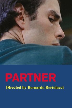 Partner's poster