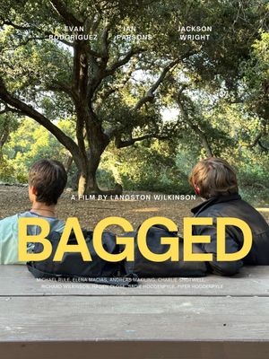 Bagged's poster