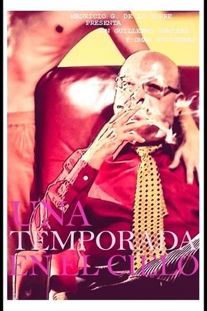Una Temporada en el Cielo's poster