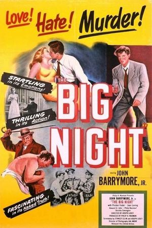 The Big Night's poster