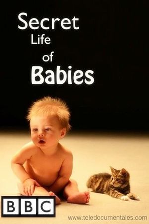 Secret Life of Babies's poster