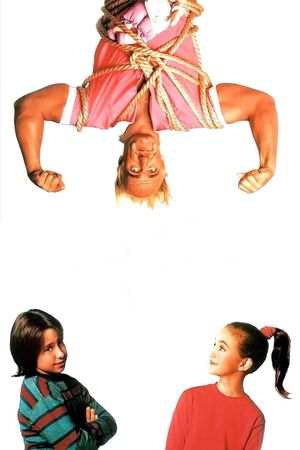 Mr. Nanny's poster