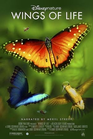 Disneynature: Wings of Life's poster