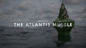 The Atlantis Mussels's poster