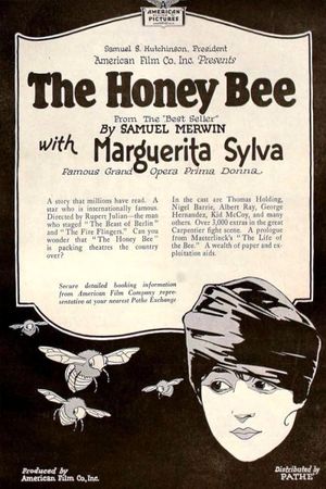 The Honey Bee's poster