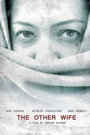 The Other Wife's poster