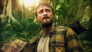 Jungle's poster
