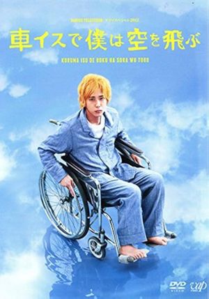 I Will Fly to the Sky on a Wheelchair's poster