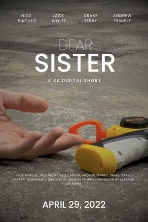 Dear Sister's poster