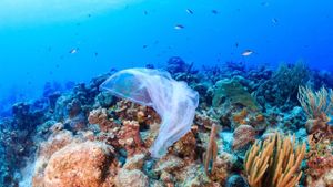 A Plastic Ocean's poster