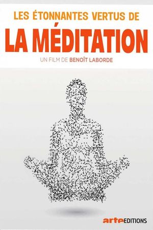 Les étonnantes vertus de la méditation's poster image