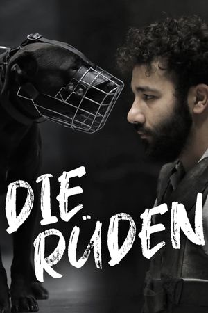 The Rüden's poster
