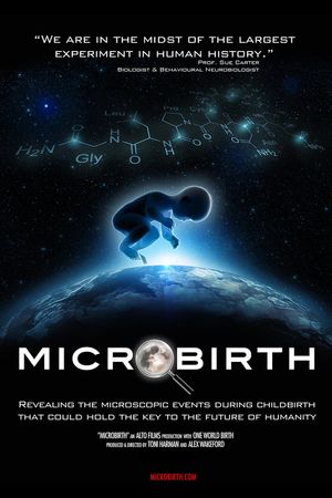 Microbirth's poster